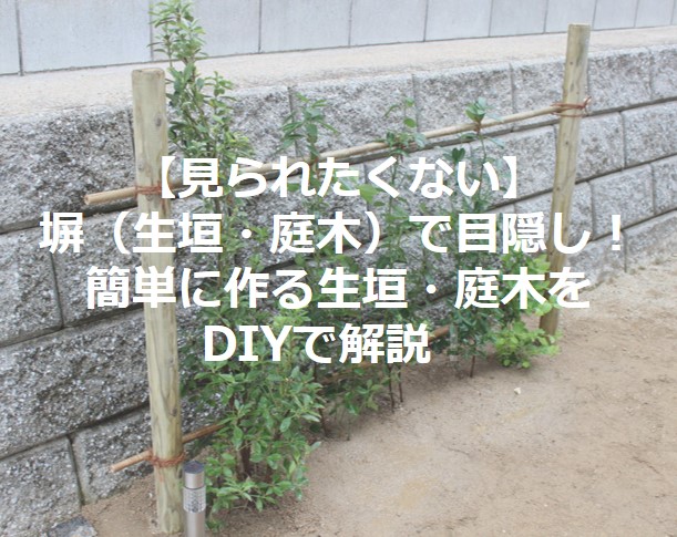 見られたくない 塀 生垣 庭木 で目隠し 簡単に作る生垣 庭木をdiyで解説 イエタテログ